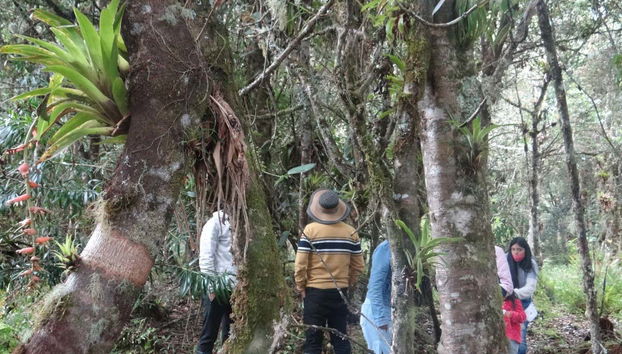 Visitando los humedales de Santa Lucía