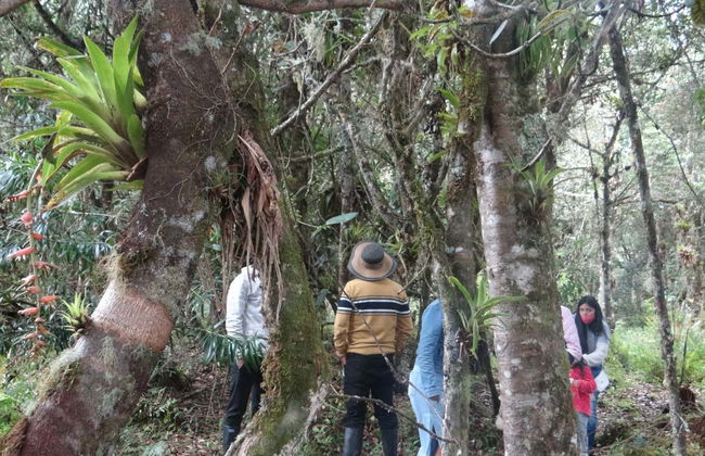 Excursión a la laguna de La Cocha y humedales de Santa Lucía - Foto 3