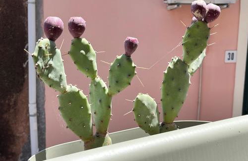 donna serena Aci Castello - Photo 7