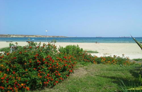 Apartment 1st floor in Villino Eliana - Photo 14