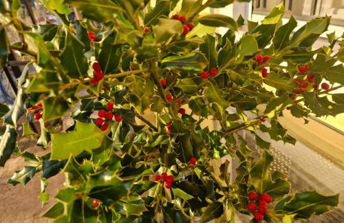 ΚΑΛΟΣΚΟΠΗ Luxury House - Foto 33