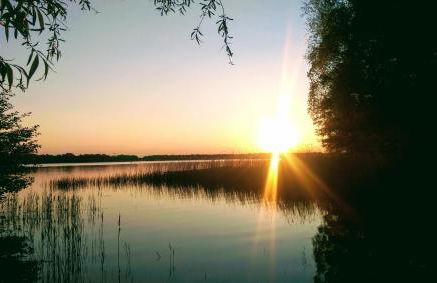 Ferienhaus am Birkenwaeldchen - Motzener See 150m - Foto 59