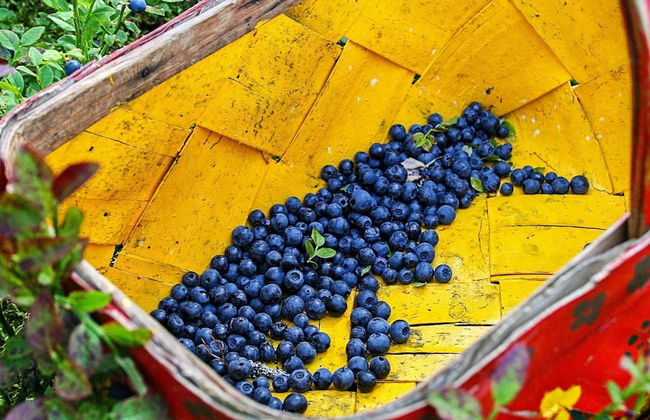 4 Person Holiday Home in Torsby-by Traum - Foto 8