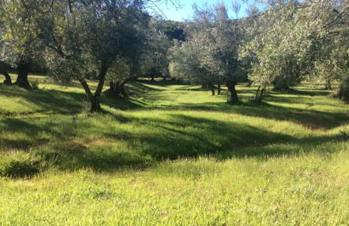 Finca La Favorita- Suites - Foto 64