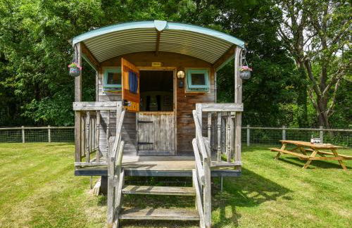 Bluebell - Shepherd Hut - Uk49948 - Foto 18