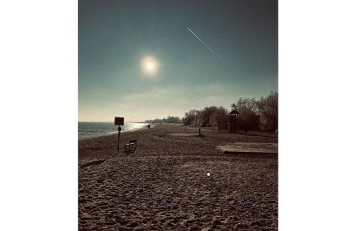 Michael's Elbe Dream - Foto 12