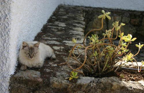 Casas Rurales La Loma Del Carrascal - Foto 28
