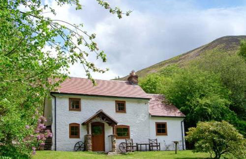 The Wilderness - Foto 20