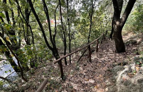 Villa degli Ulivi - Foto 77