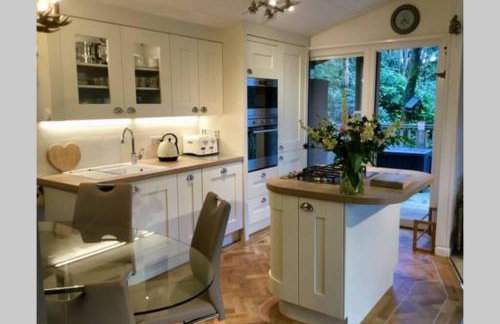 Mistletoe One Luxury Lodge with Hot Tub Windermere - Photo 10