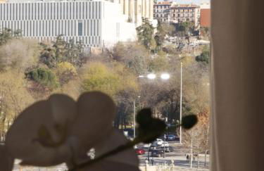 Apartamentos Madrid Río - Foto 43