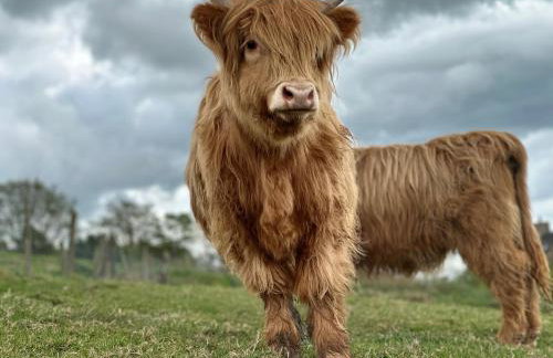 Parlour Barn - Photo 61