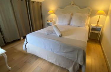 BLAGNAC hyper centre T2 - Foto 8