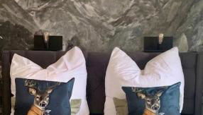 Lindners Hideaways - Gutshof Pine Retreat - Blick ins Grüne - Sauna - In Villa - Terrasse - Garten mit Rehgehege - Frühstück - SKI - Arber - Osser - bis 5 Pers - Foto 2