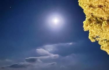 VILLA MARELUNA - near the beach , family residence pet friendly ! - Foto 1