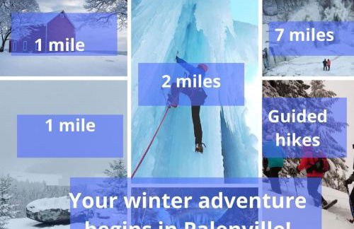 Plant House - Foto 11