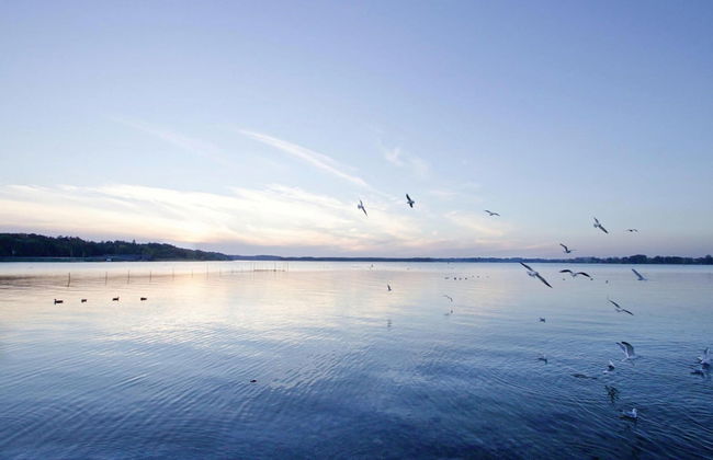 Appartements im Maremuritz Yachthafen Resort - Foto 27