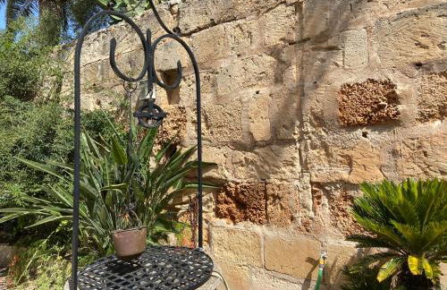 Es Barracar d'es Vins by LOCALITE - Foto 41