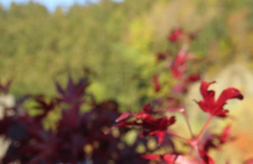 Ferienwohnung Krämershagen - Foto 31