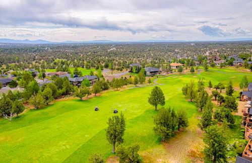 Cinnamon Teal Dream - Foto 36