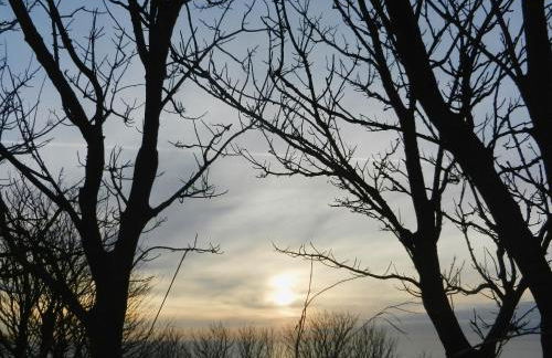 The Byres Methera - Foto 14