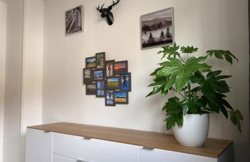 Ferienwohnungen bei der Purpurbuche - Foto 10