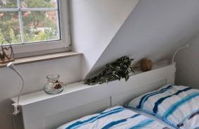 Sommerhaus in Warthe familienfreundlich, mit Garten & Sauna - Foto 10