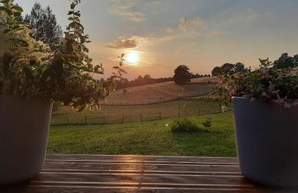 Agroturystyka Kruk - Photo 6