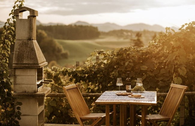 Vineyard cottage Zdolšek - Foto 10