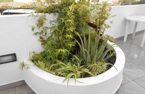 Casa Bamboo central Funchal Villa - Foto 27