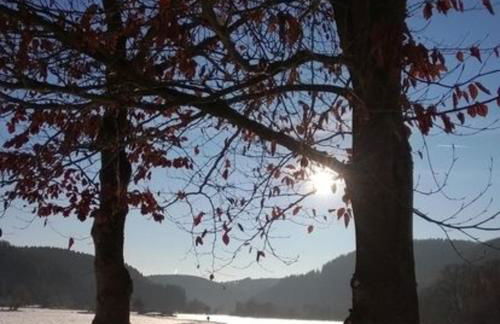 KyllHof Angelsen - Foto 17