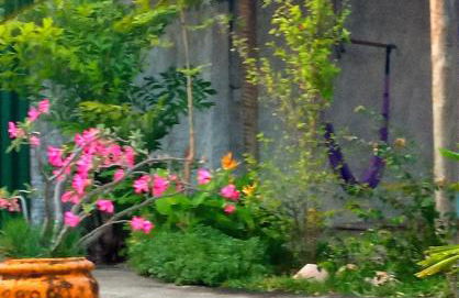 Casa INTI de Maracajaú - Foto 15