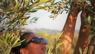 Fattoria San Paolo Agriturismo - Foto 5