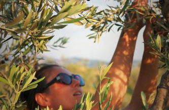 Fattoria San Paolo Agriturismo - Foto 5