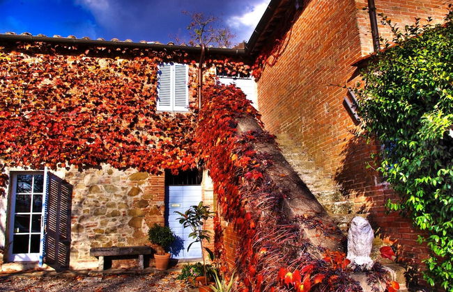 Agriturismo Fattoria Santa Vittoria - Foto 49