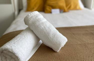 Studio-Champagne Lanson-Proche Hôpitaux-Universités-Parc Léo Lagrange - Foto 5