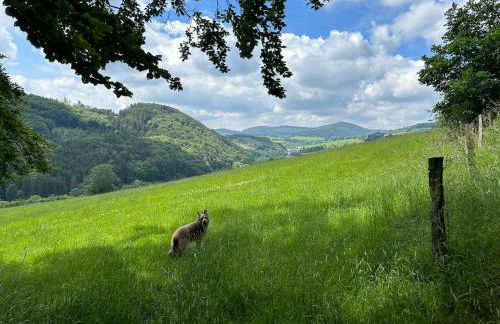 Romantikhütte Winterberg-Willingen - Foto 33