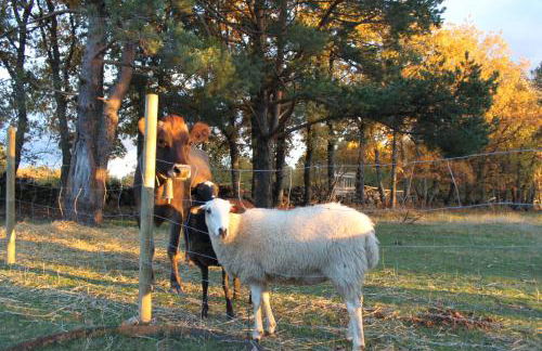 Eco Urbión - Foto 77