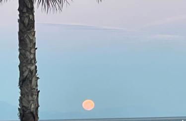 Costa del Sol Marina - Foto 57