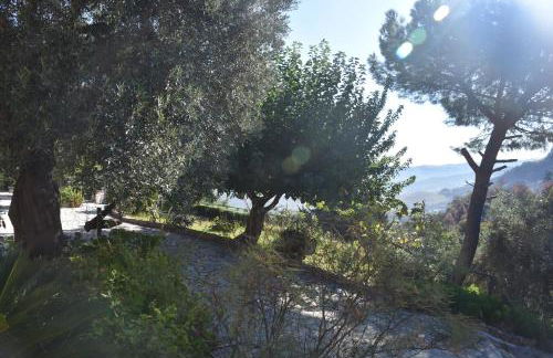 Azienda Agrituristica Biologica Il Querceto - Foto 23