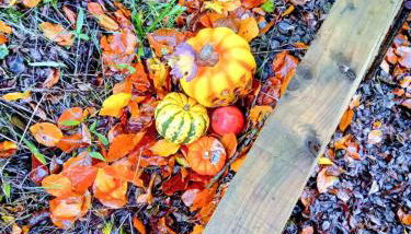 Chandler Ranch Llandovery Cynghordy - Foto 4