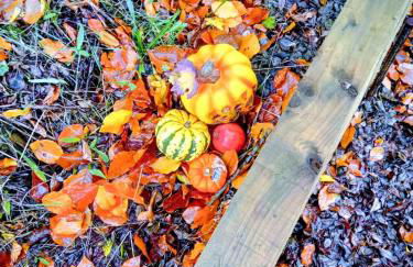 Cosy Rural Gilbert Hights Llandovery Cynghordy - Foto 8