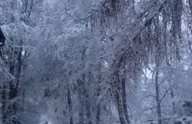 The Beeches Studio, Highlands of Scotland - Foto 18