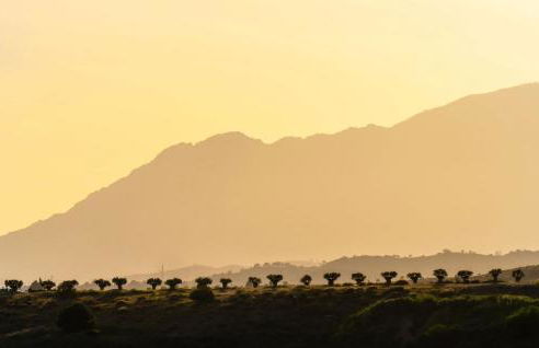 Serene hideaway, luxurious 2-bedroom penthouse apartment in the exclusive Paraíso Pueblo - Photo 49
