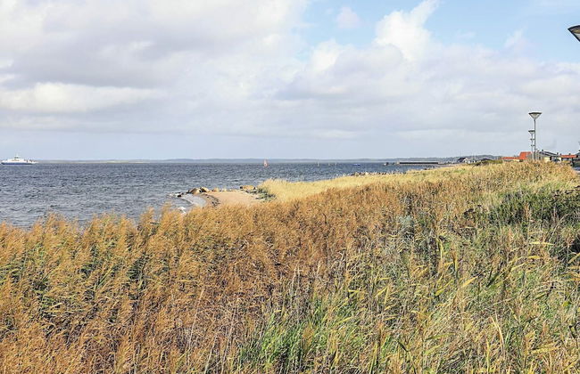 4 Person Holiday Home in Farso - Photo 75