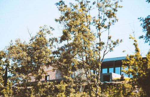 Casa da Merelhe - Foto 28