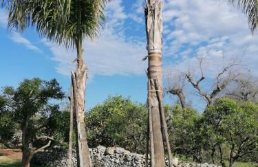 Villa in a lovely olive grove 10 minutes from the sea Ada residence - Foto 23