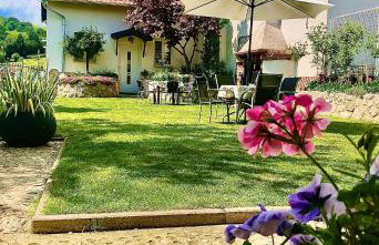 Apartments Dajčić - Foto 10