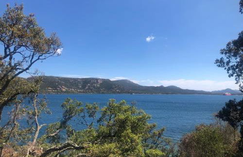 Appt T2 Standing avec Piscine et Terrasse - Foto 38