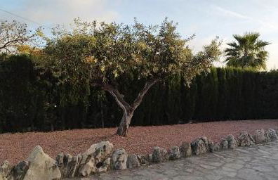 Villa Martí - Photo 13